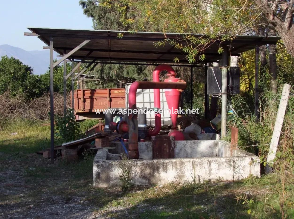 Garden For Sale In Oriya Tepearasi Between The Peak 65,000M2 Orange Garden For Sale