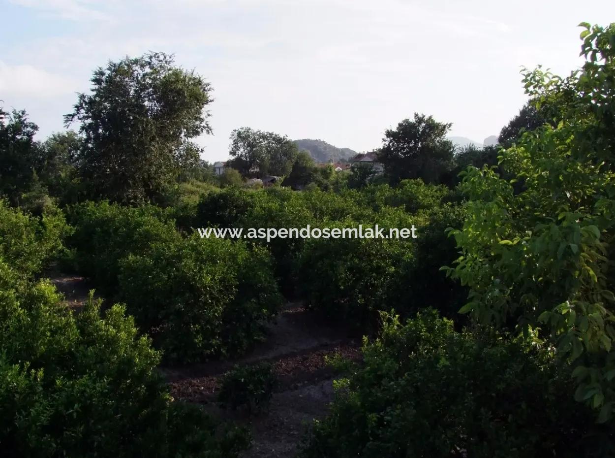 Near The Centre Of Dalyan In Dalyan Plot For Sale For Sale 987M2