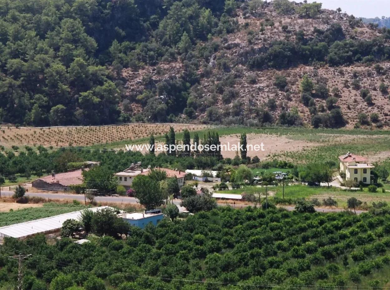 Merkez Dalyan Lake Iztuzu For Sale In Gokbel Zero Path 7484M2