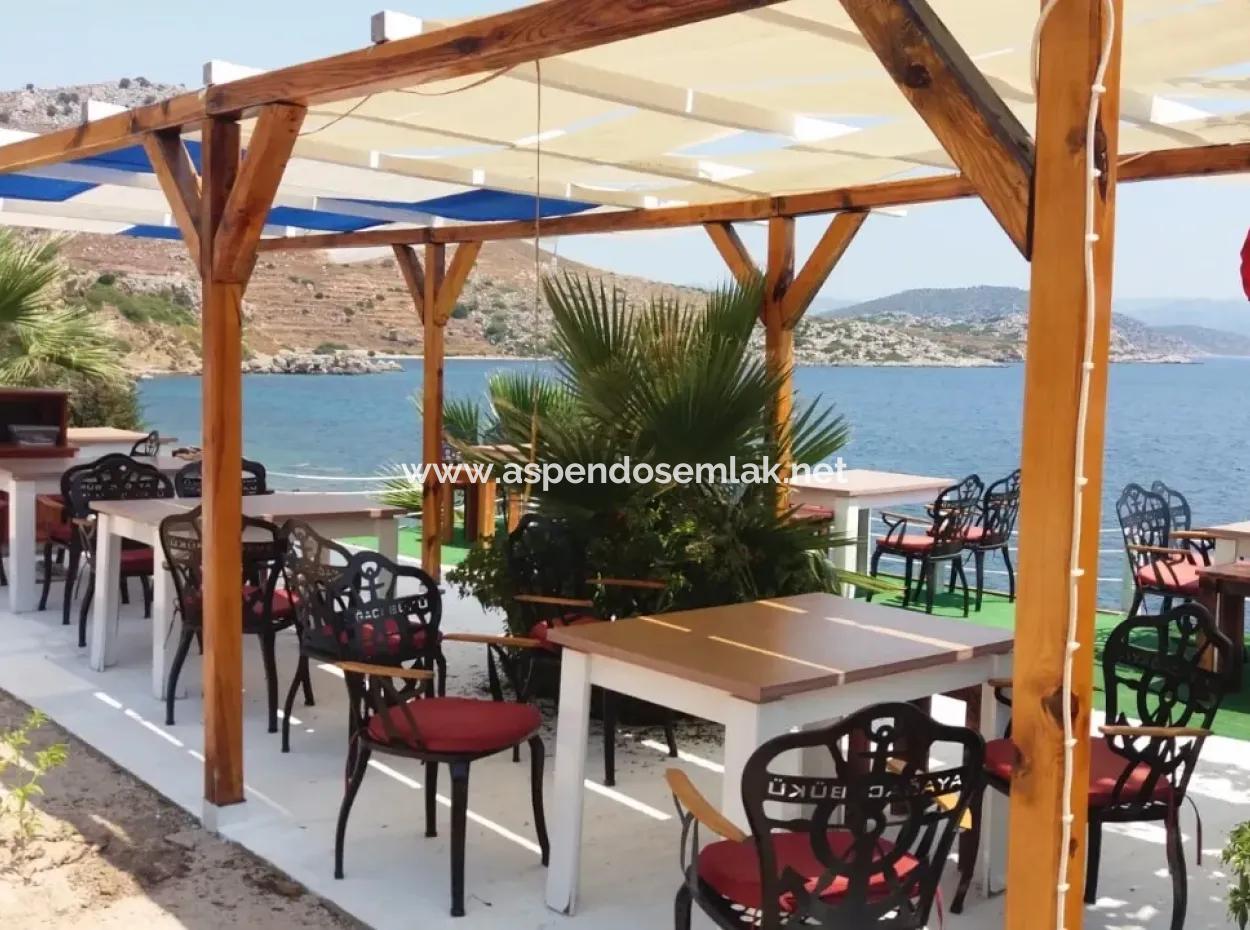 Custom Village By The Sea For Sale Villa For Sale In Osmanabad