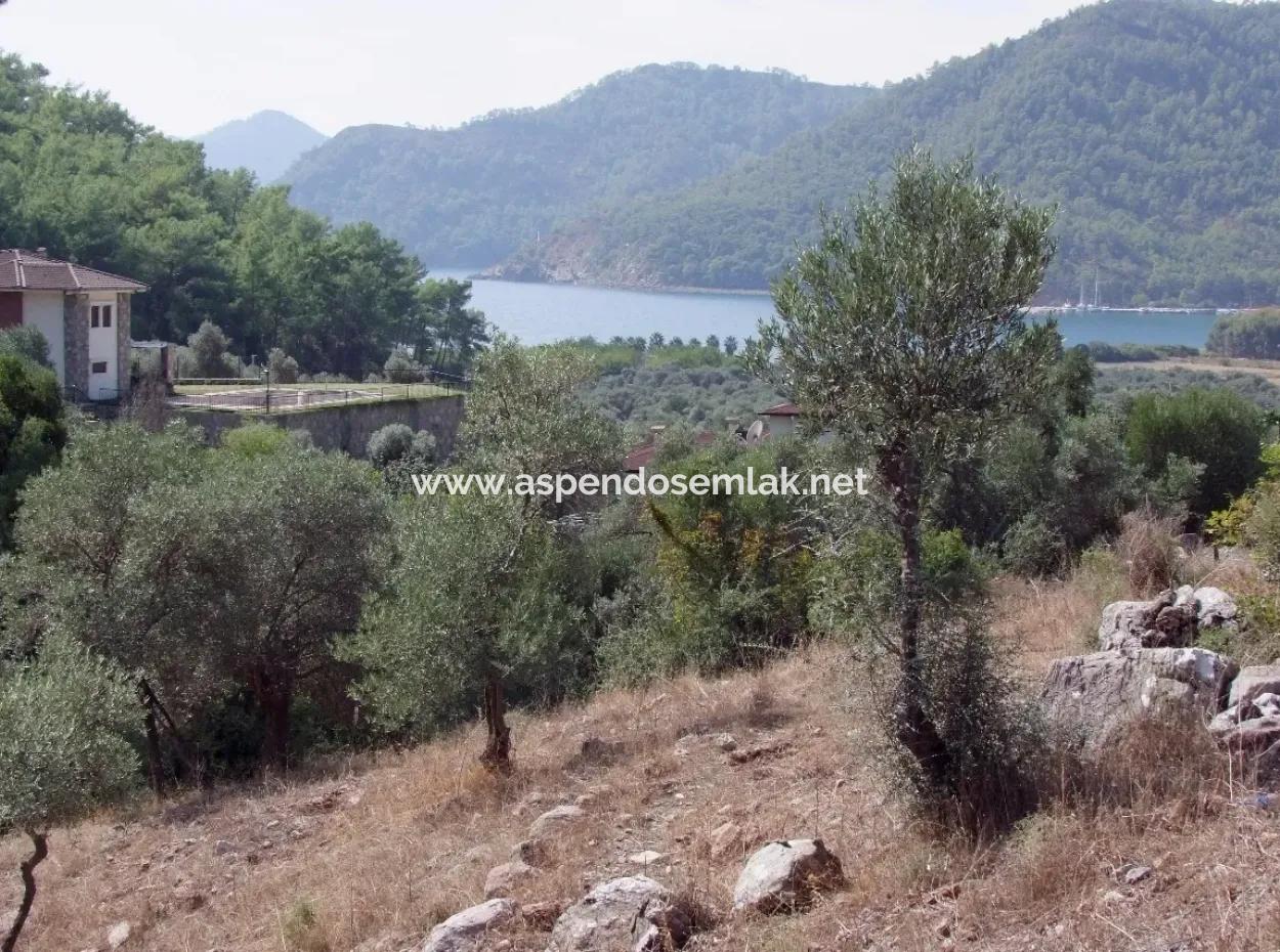 For Sale In Ekincik 5,391M2 Plot For Sale