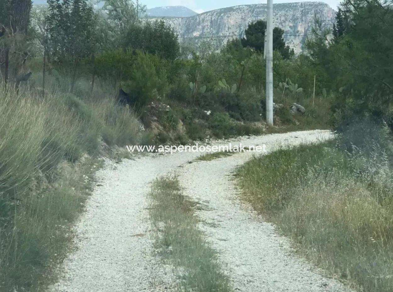 Land For Sale In Seydikemer Korubuku 76000M2