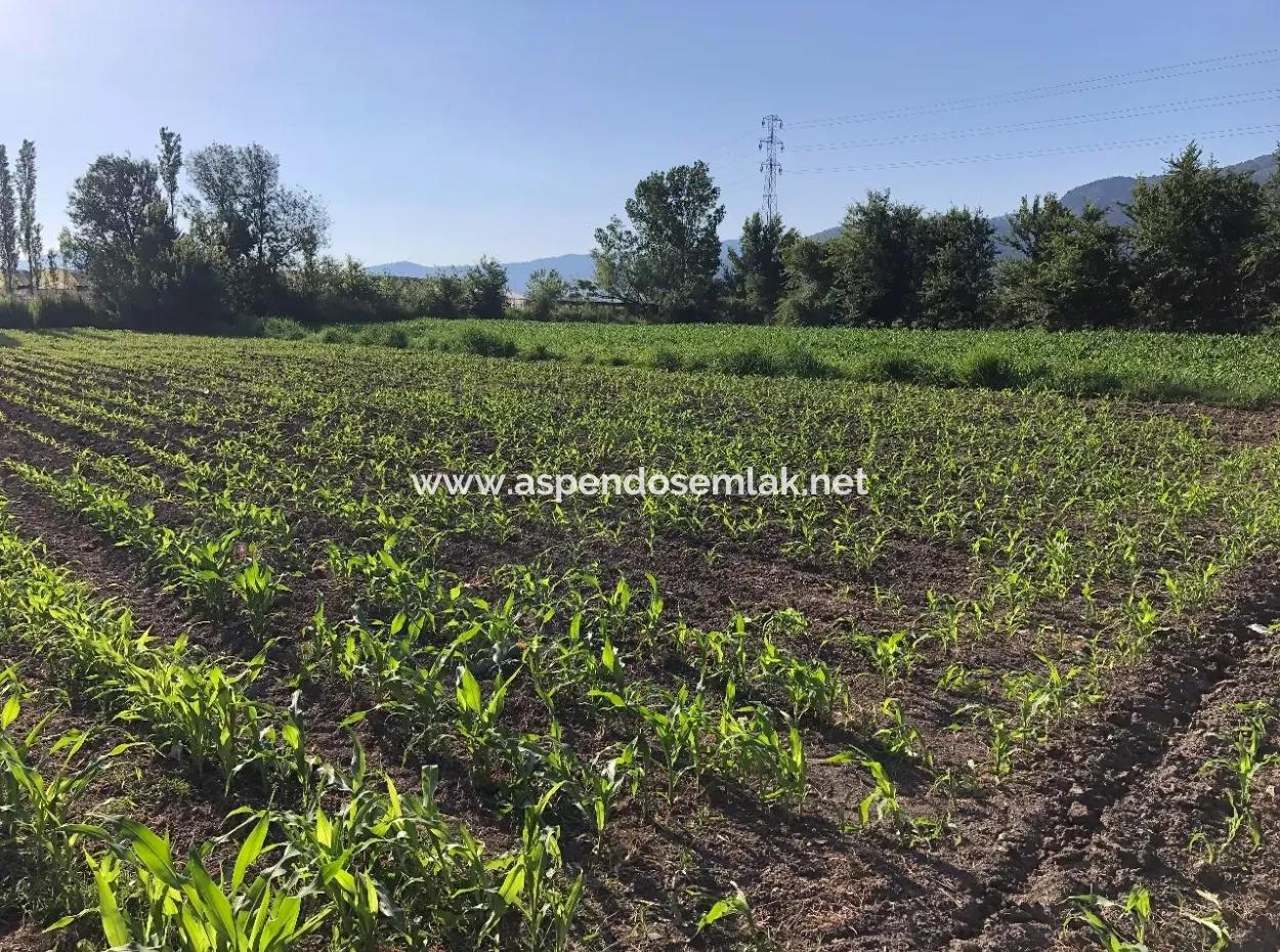 2200M2 Plot For Sale In Dalyan For Sale Dalyan
