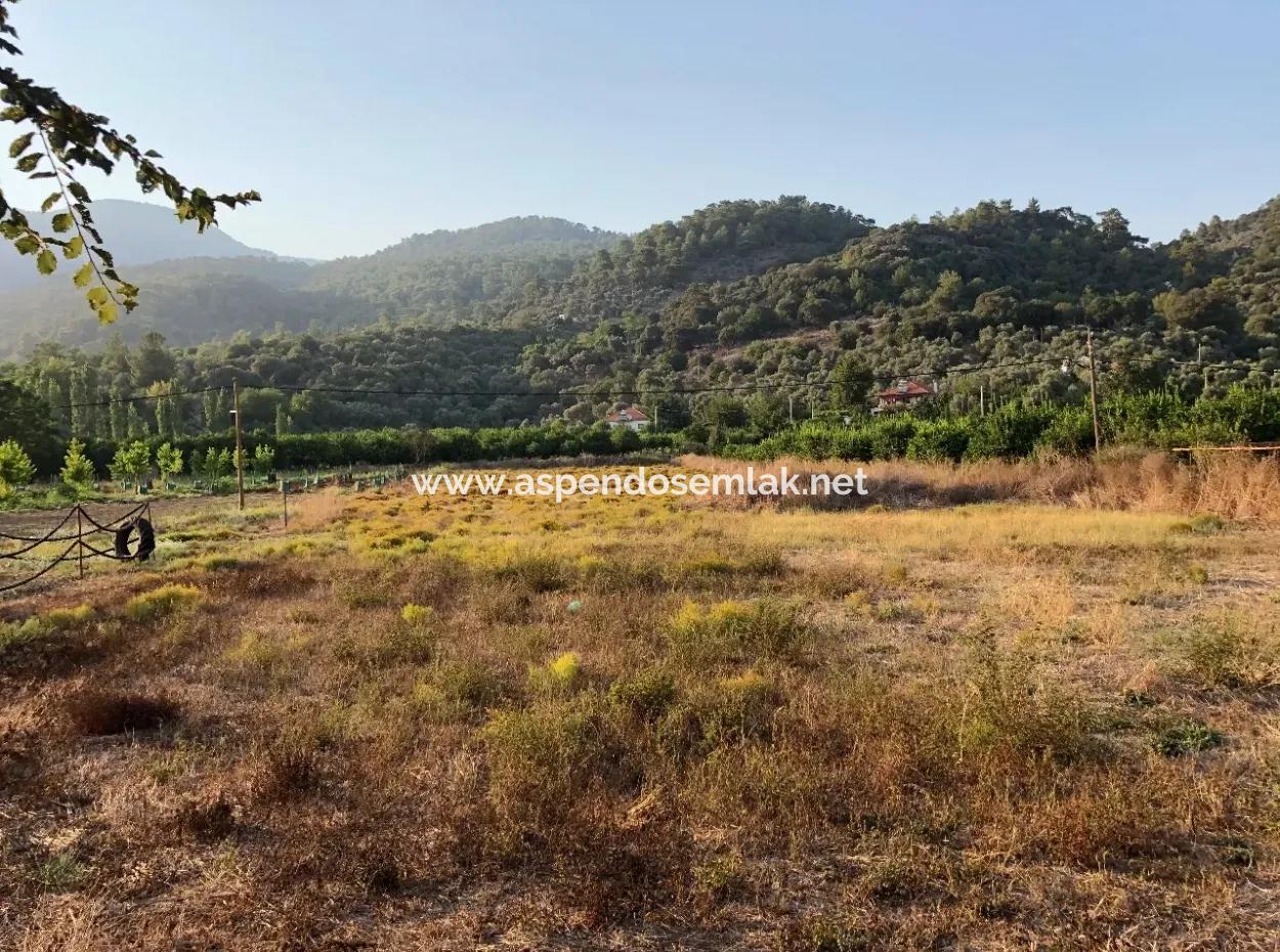 2300M2 Land For Sale Near The Center Of The Land For Sale