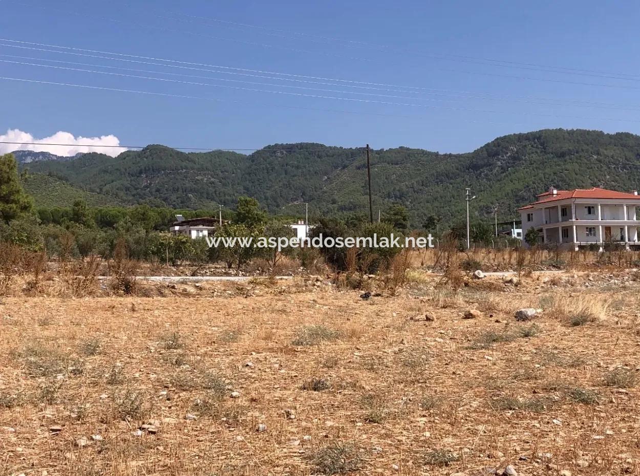 11.227M2 Land For Sale With Lake Views In Köyceğiz Zeytinalanı