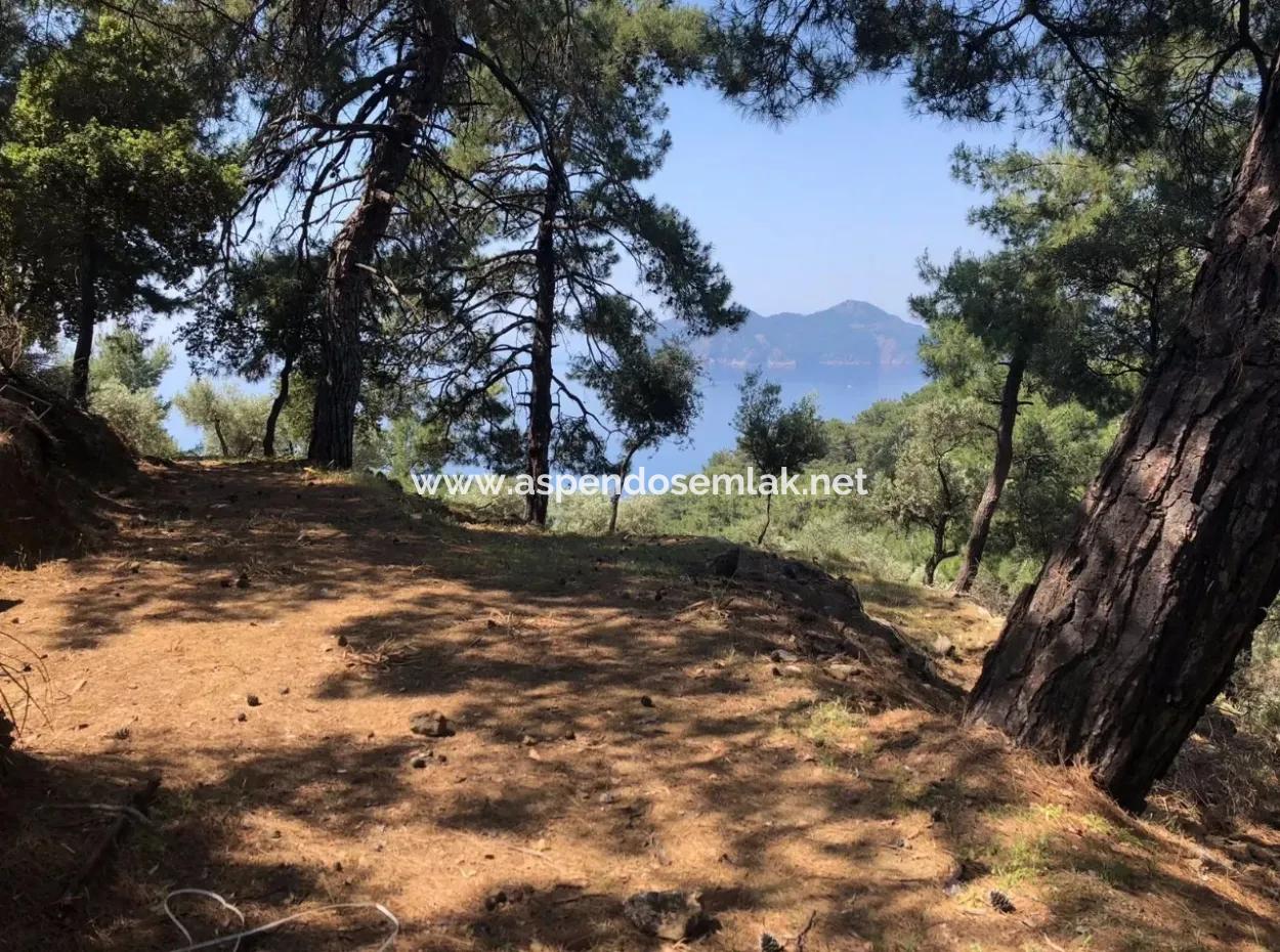 7034M2 Field For Sale With Sea View In Çandir