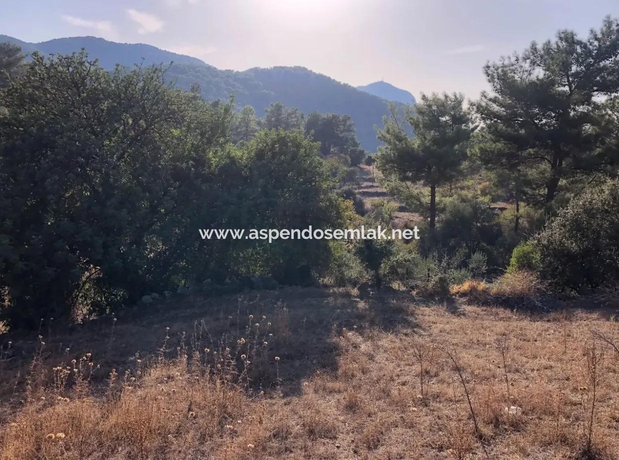 Gökbel Land For Sale 1000M2 Land For Sale With Sea Views