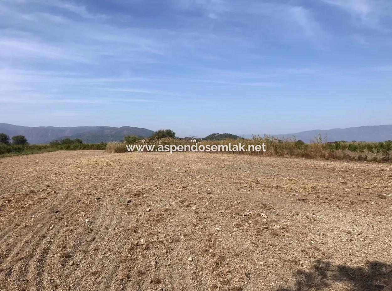 Land For Sale In Esköy 8500M2 Field Land For Sale