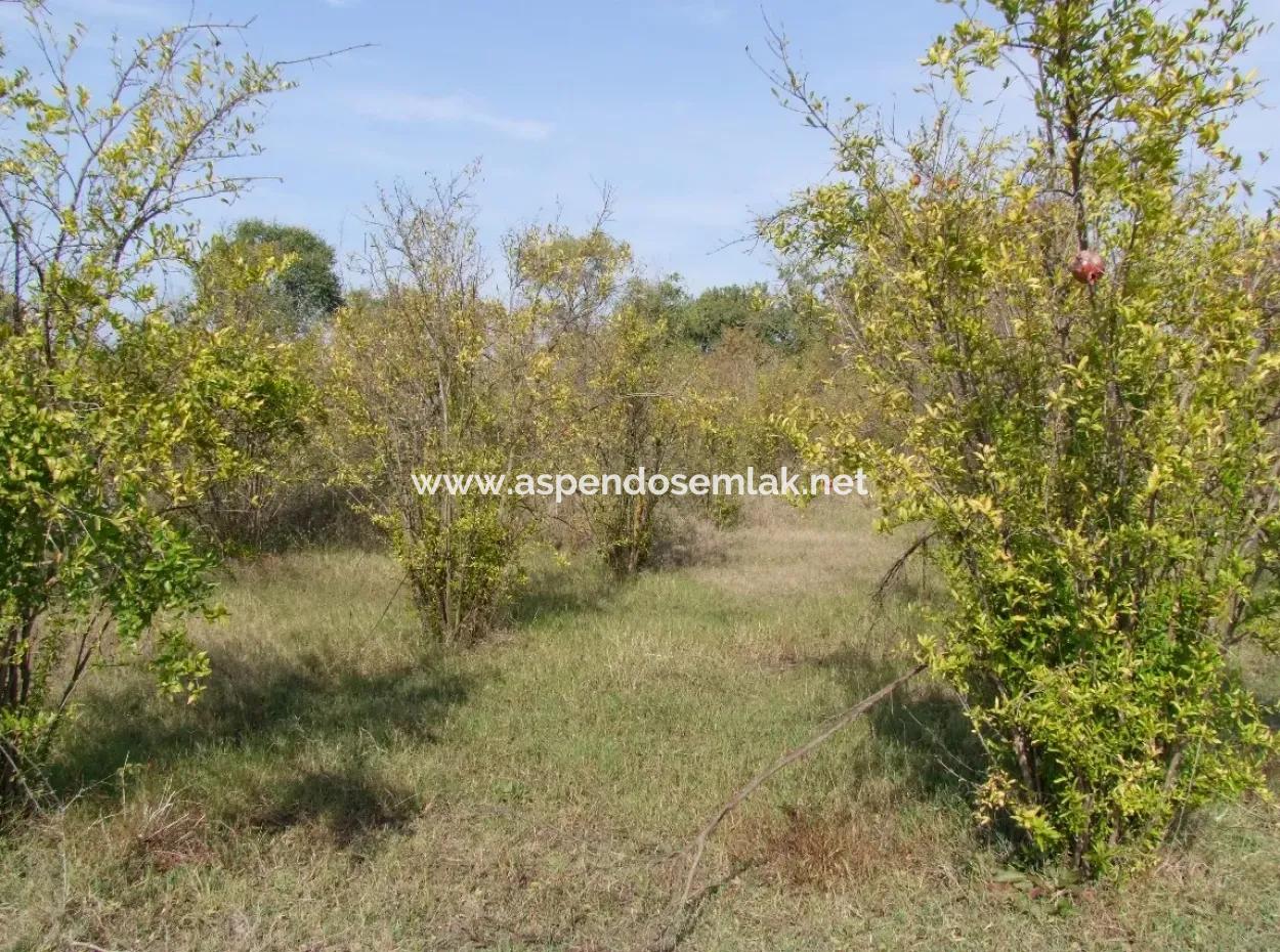 Güzelyurt Land For Sale Village Built 6670M2 Land For Sale