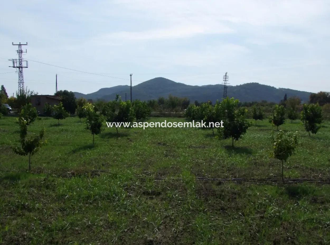 Güzelyurt Land For Sale Village Built 6670M2 Land For Sale