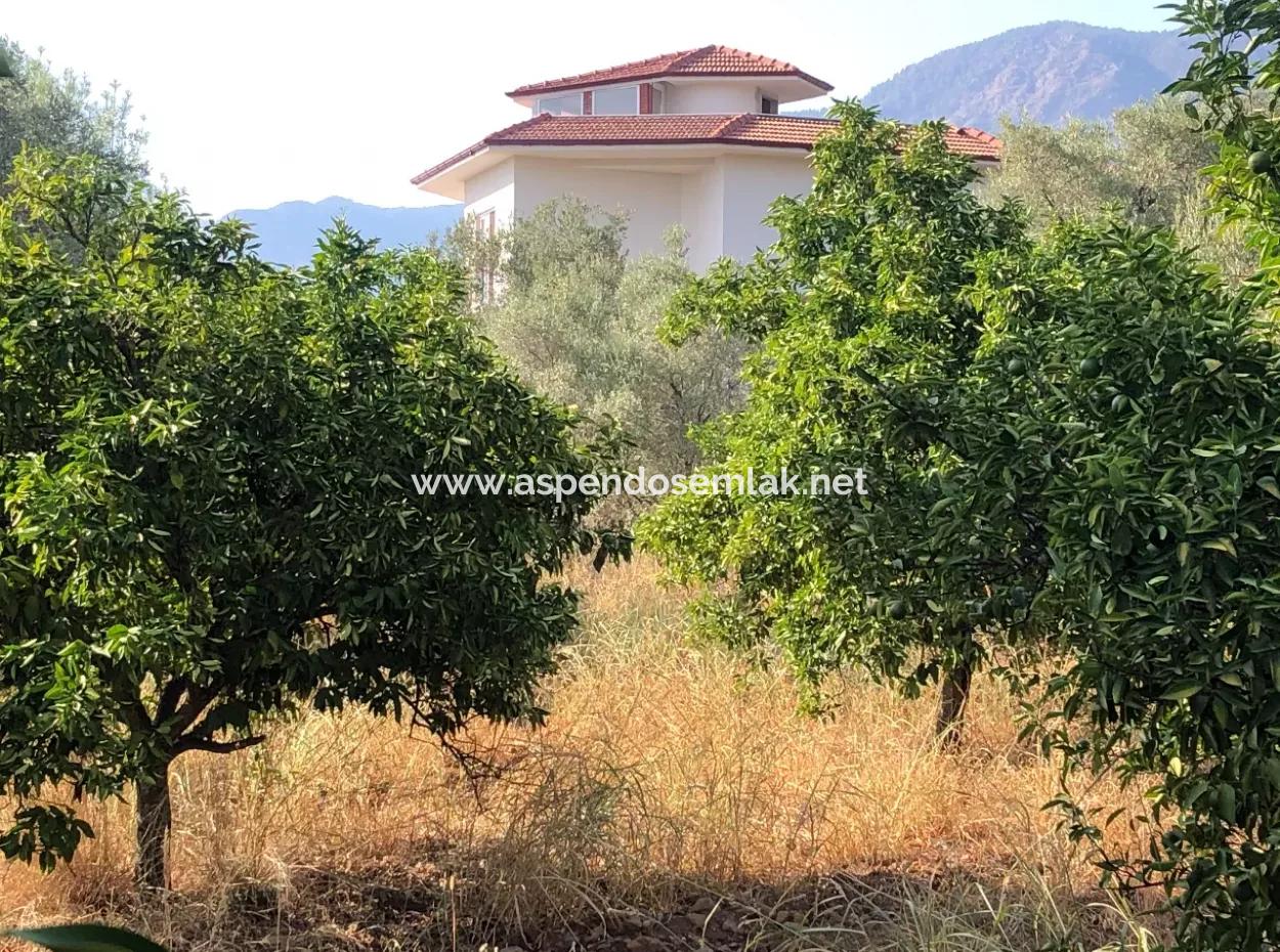 Land Field For Sale In Köyceğinz Yangi 9406M2 Land For Sale