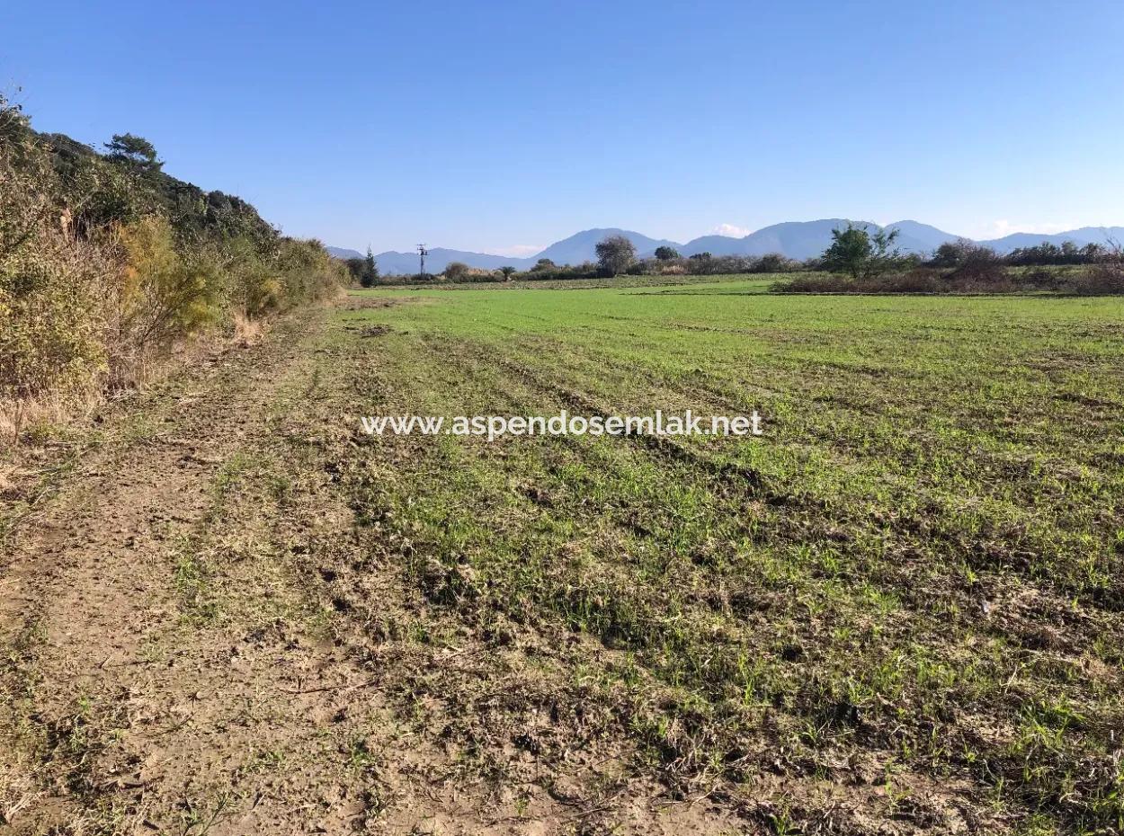 Land For Sale In Sarıgermede 30,000M2 Land For Sale With Sea View