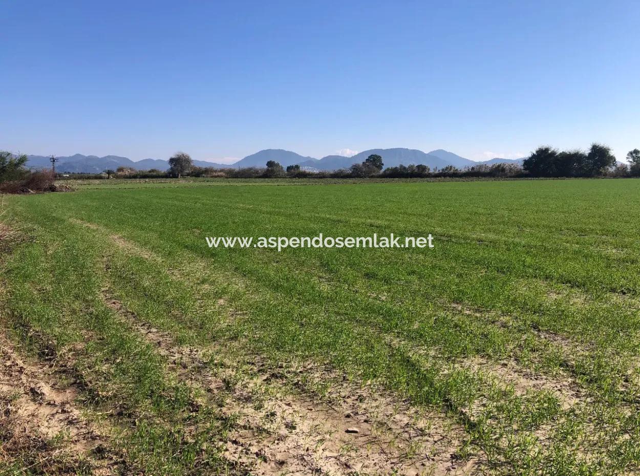 Land For Sale In Sarıgermede 30,000M2 Land For Sale With Sea View