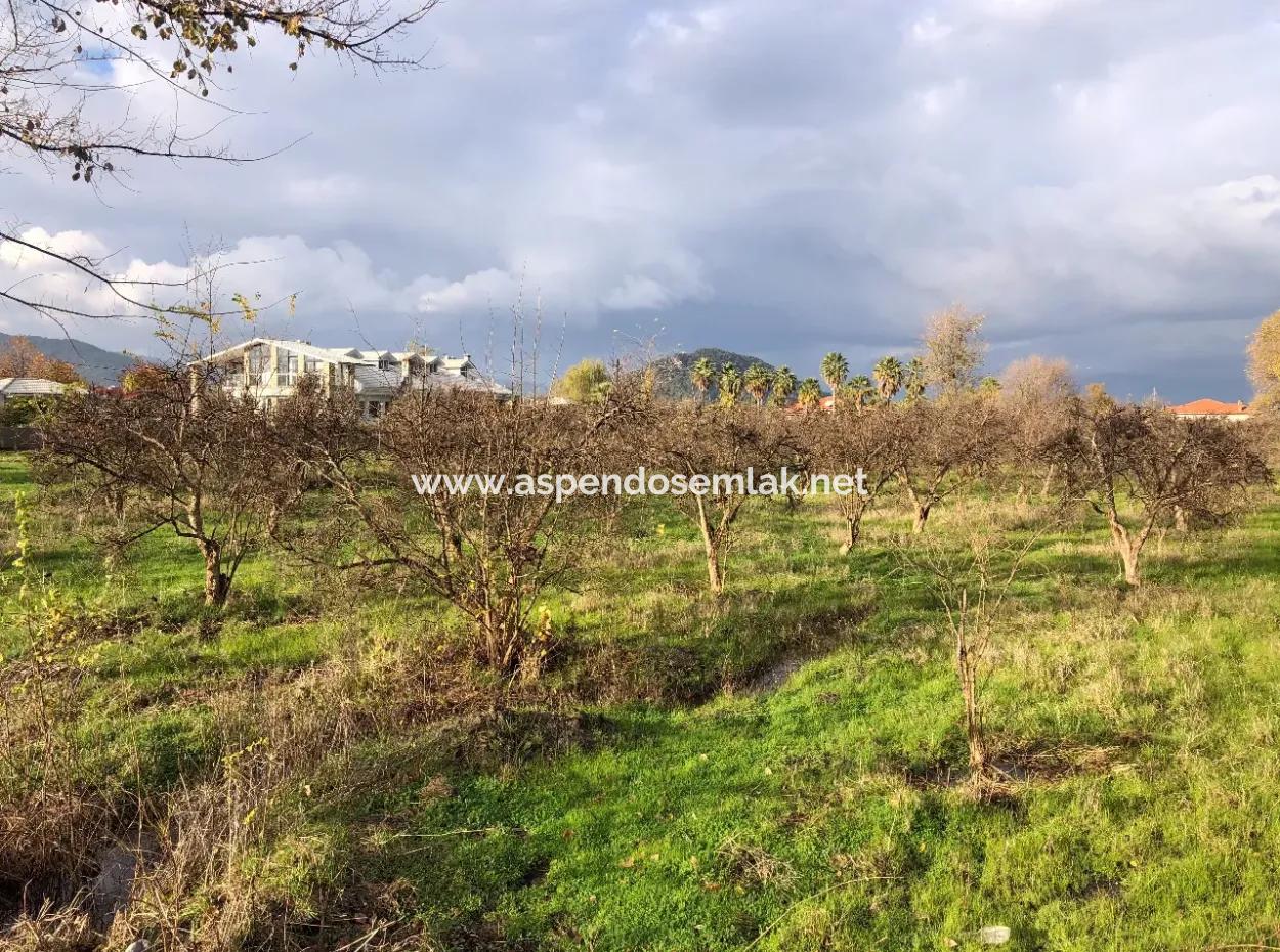 Dalyan Land For Sale Near The Center 3000M2 5% Zoning Land For Sale