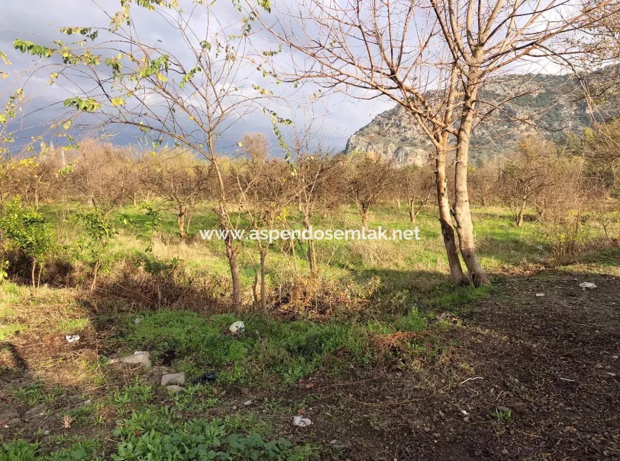 Dalyan Land For Sale Near The Center 3000M2 5% Zoning Land For Sale