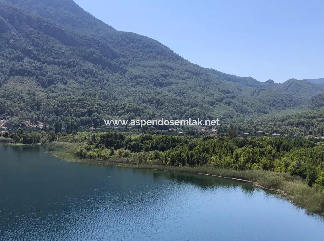 Sultaniye Land For Sale Near 10577M2 Lake Land For Sale