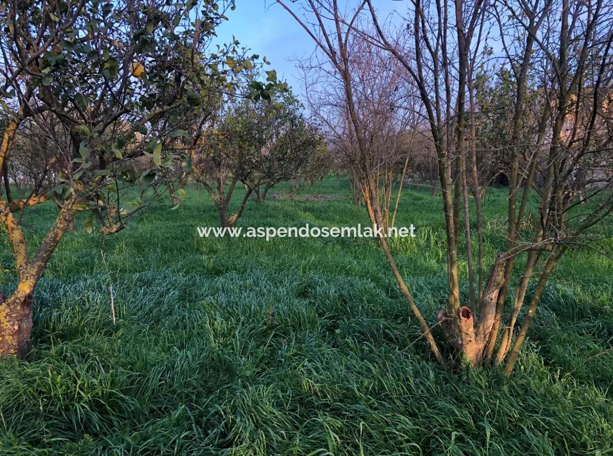 In Okçular Land For Sale 4707M2 Land For Sale