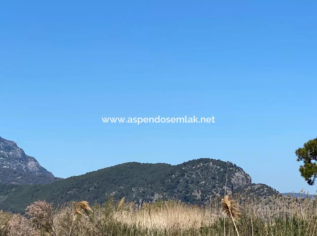 9310M2 Land For Sale In Dalyan