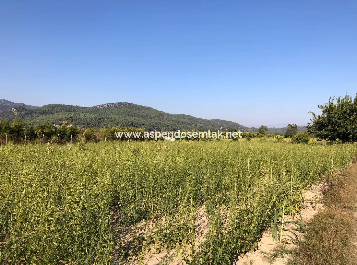 For Sale In Akçapinar 100 Acres For Sale