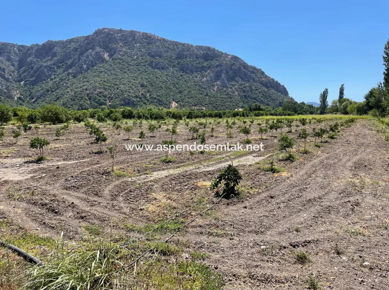 Okçular Land For Sale In Marmarlı 6500M2