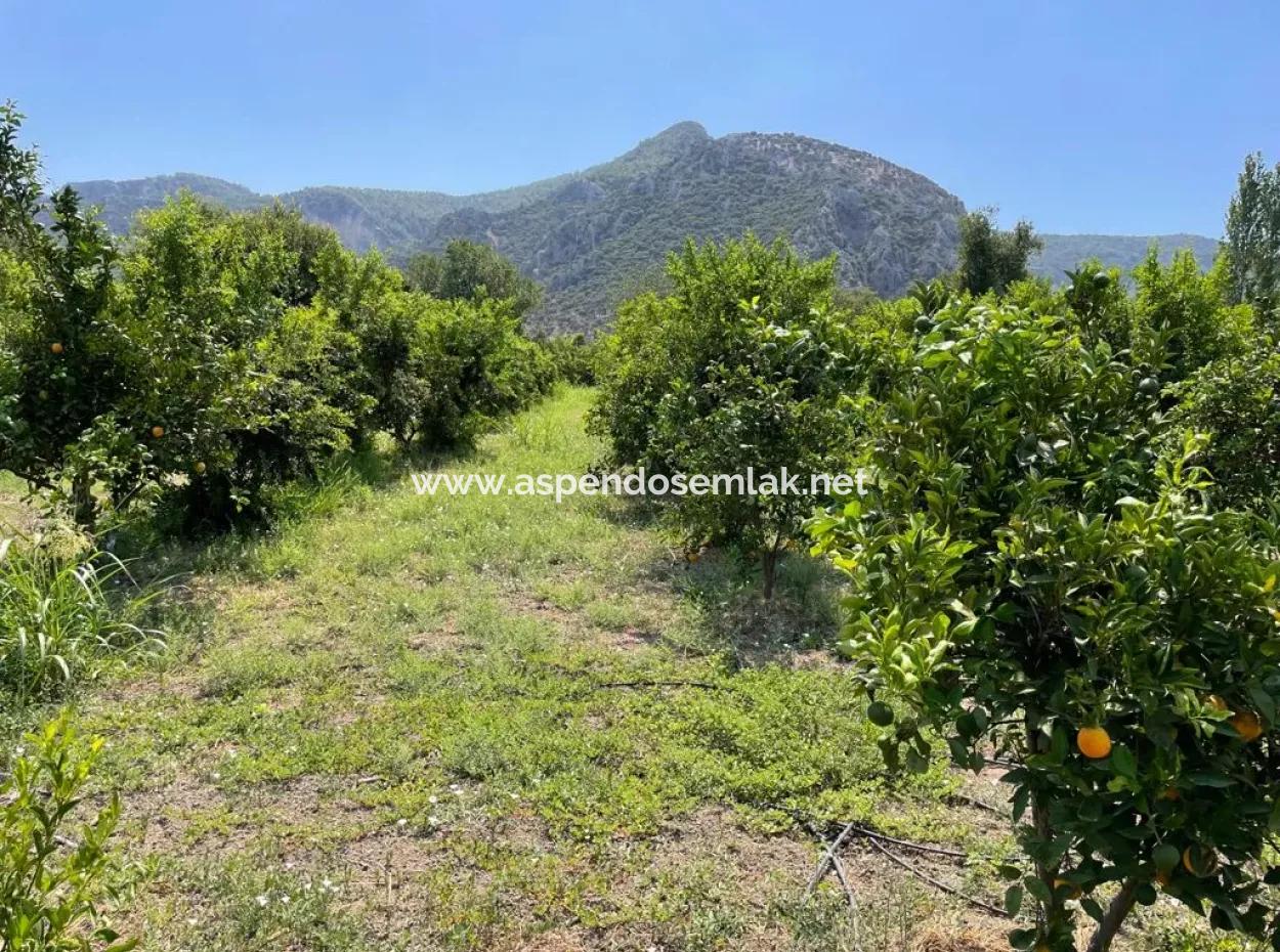 19-Room Hotel For Sale In 7,500 M2 Plot In Dalyanda