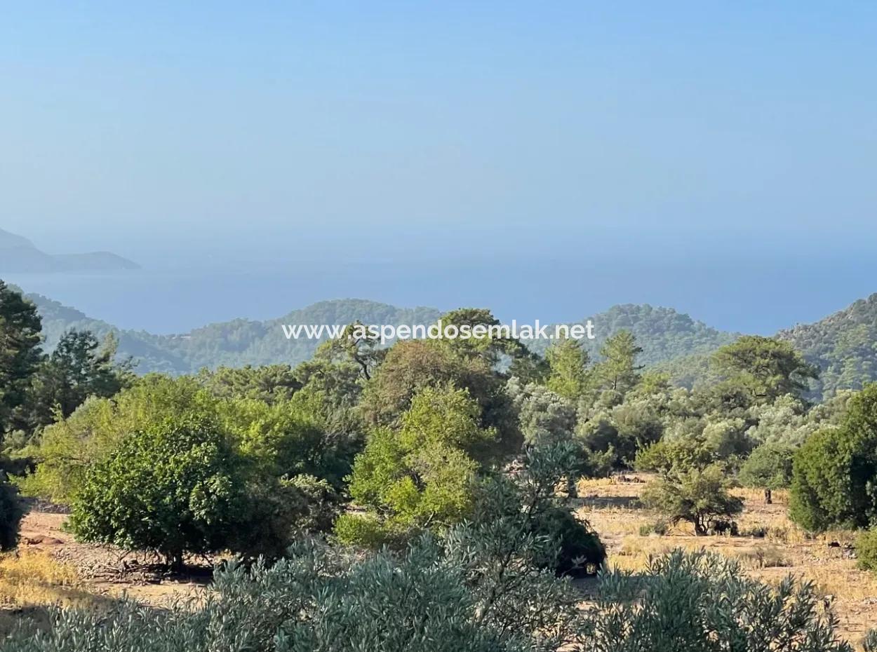 2620M2 Land Field For Sale With Sea View Of Çandir