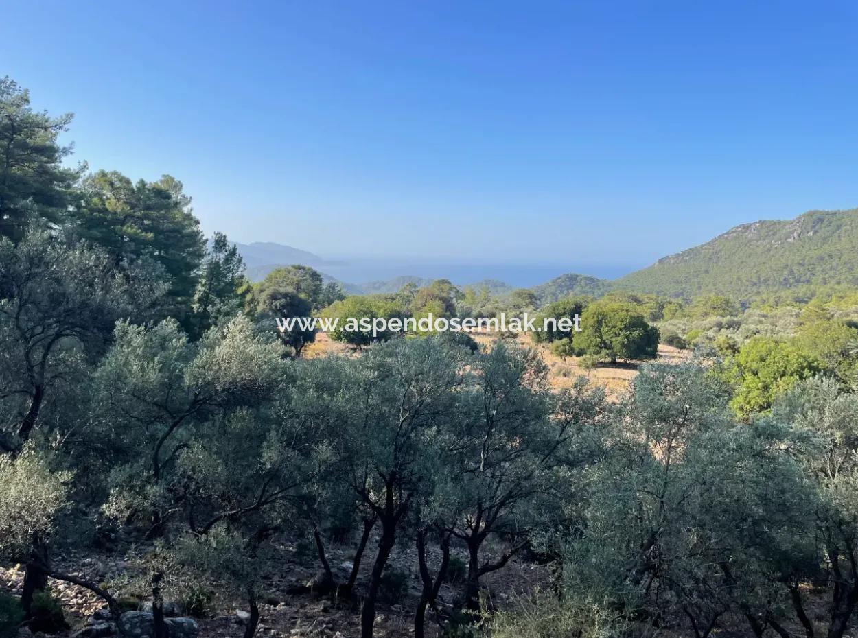 2620M2 Land Field For Sale With Sea View Of Çandir
