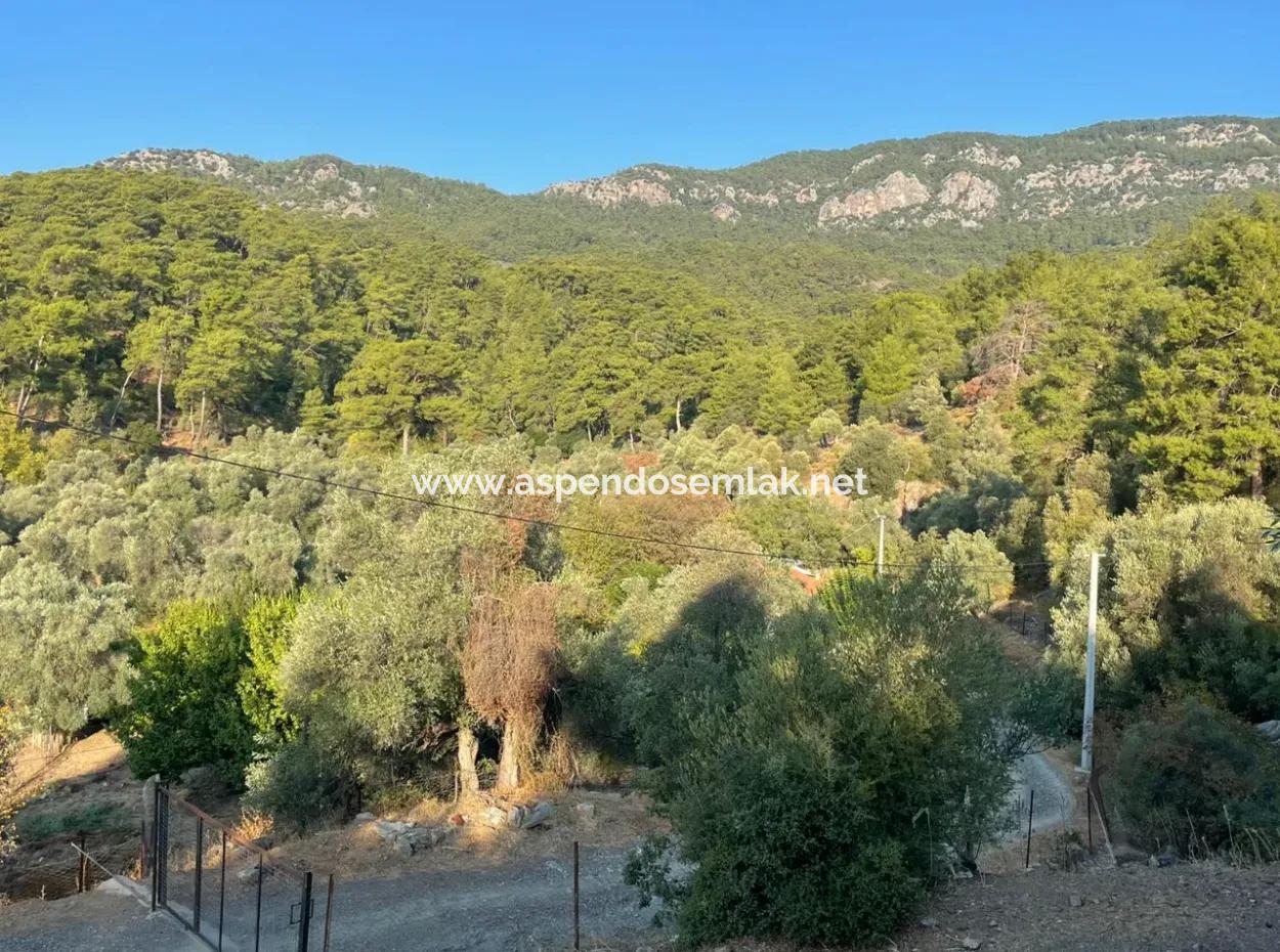 Çandir 3,800M2 Land For Sale