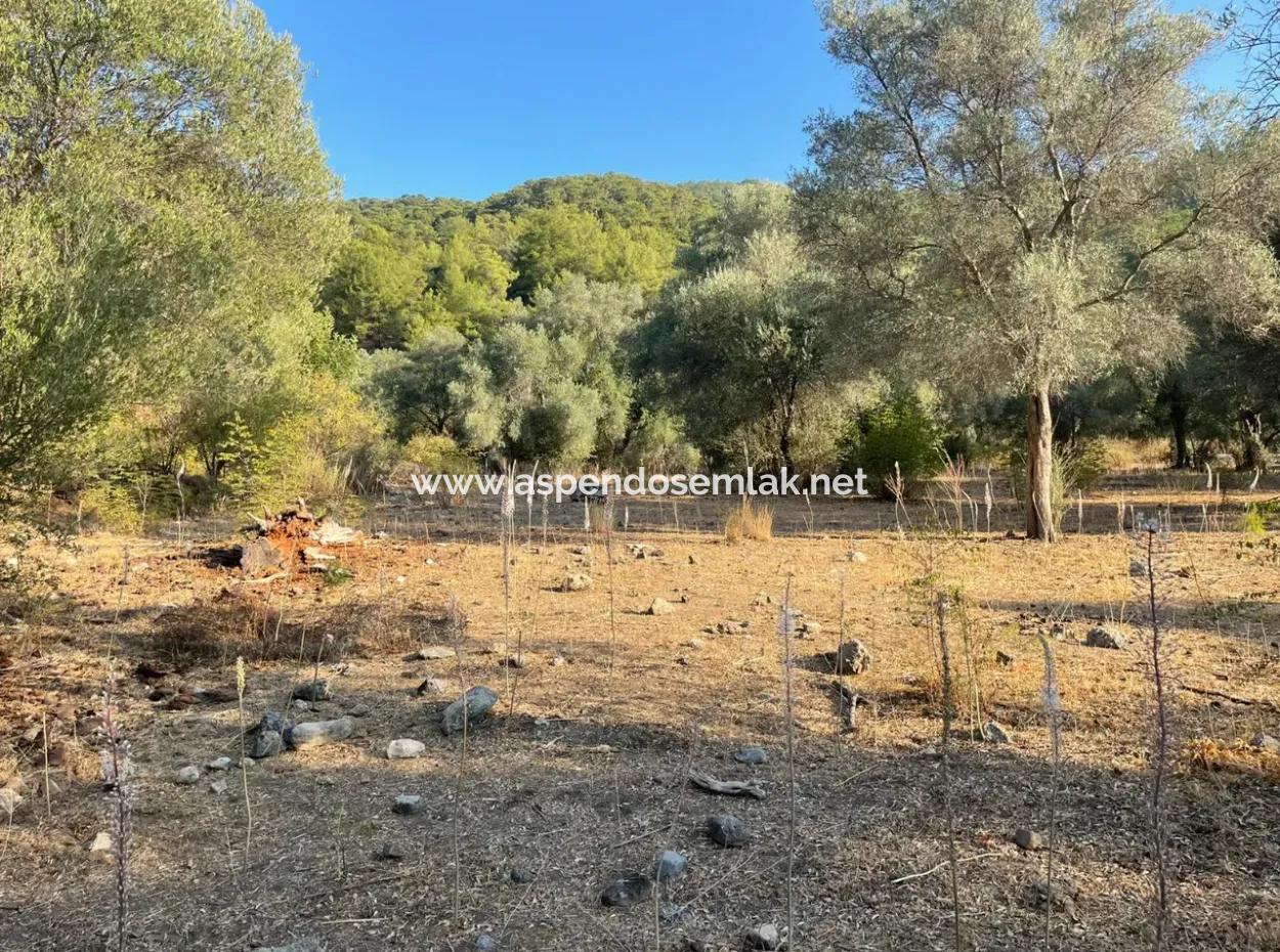 Çandir 3,800M2 Land For Sale