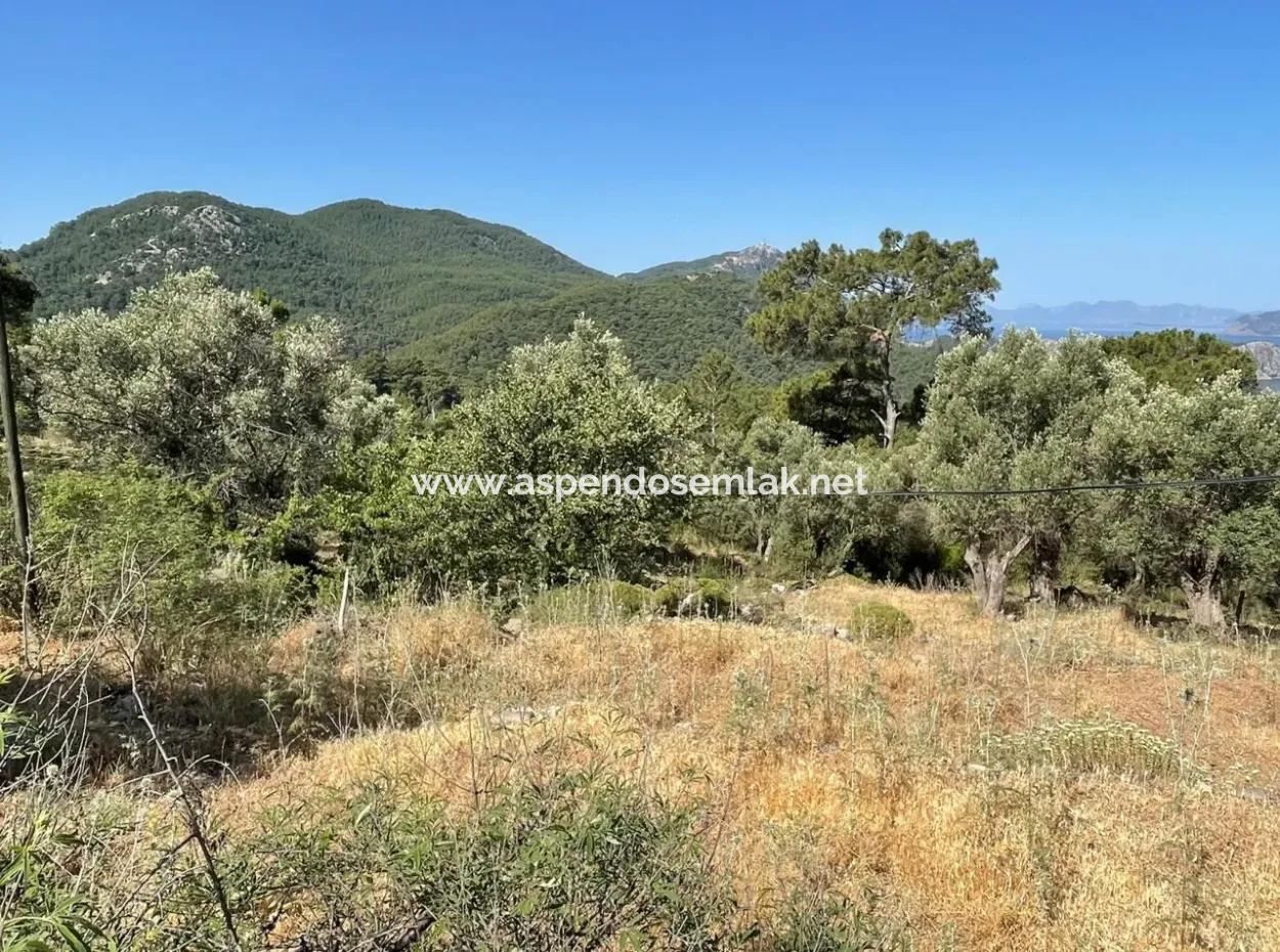 Land For Sale With Sea View In Gokbel