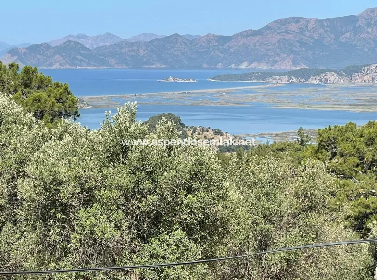 Land For Sale With Sea View In Gokbel