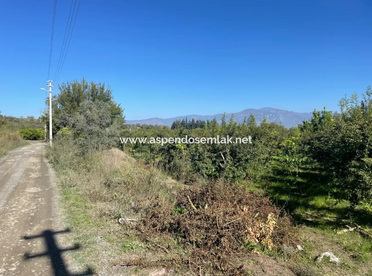 2223M2 Fields For Sale In Dalyan