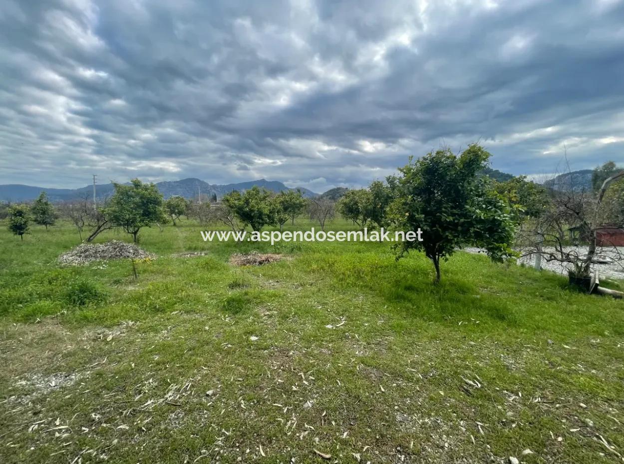 Dalyan Boutique Hotel For Sale Bungolevler For Sale In 11.000M2 Plot