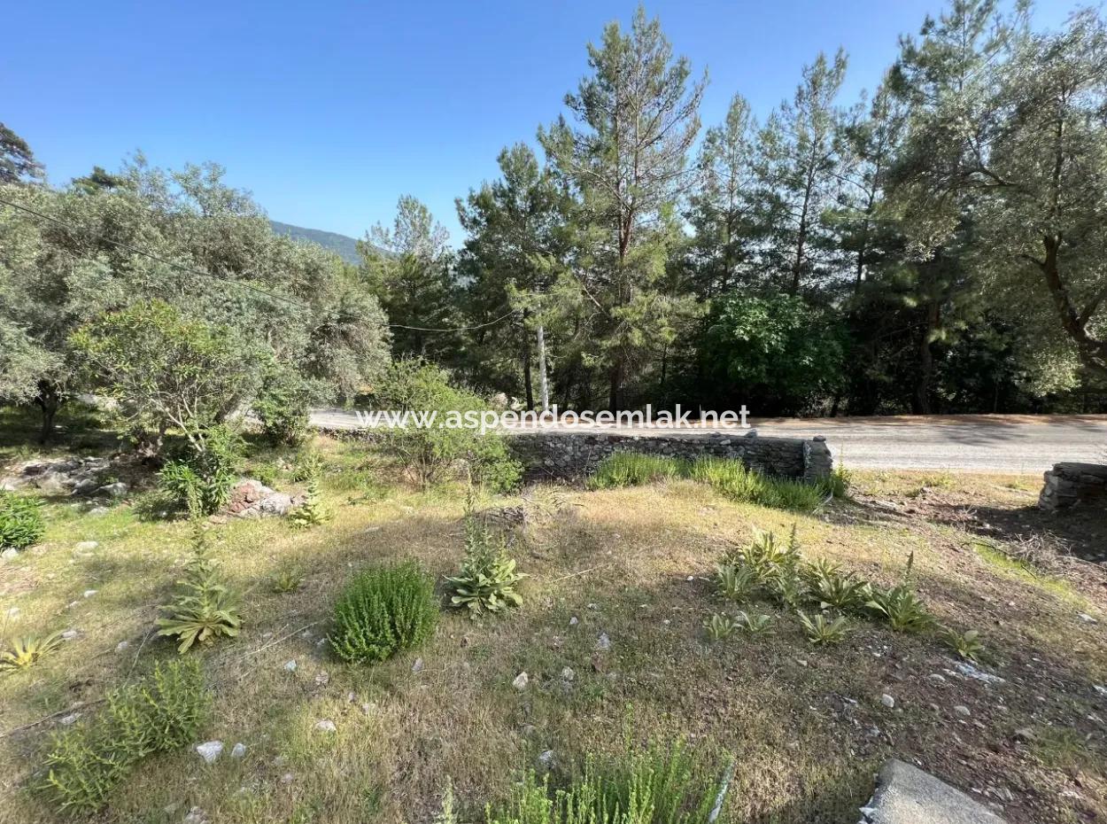 Detached House For Sale With Ekincik Sea View