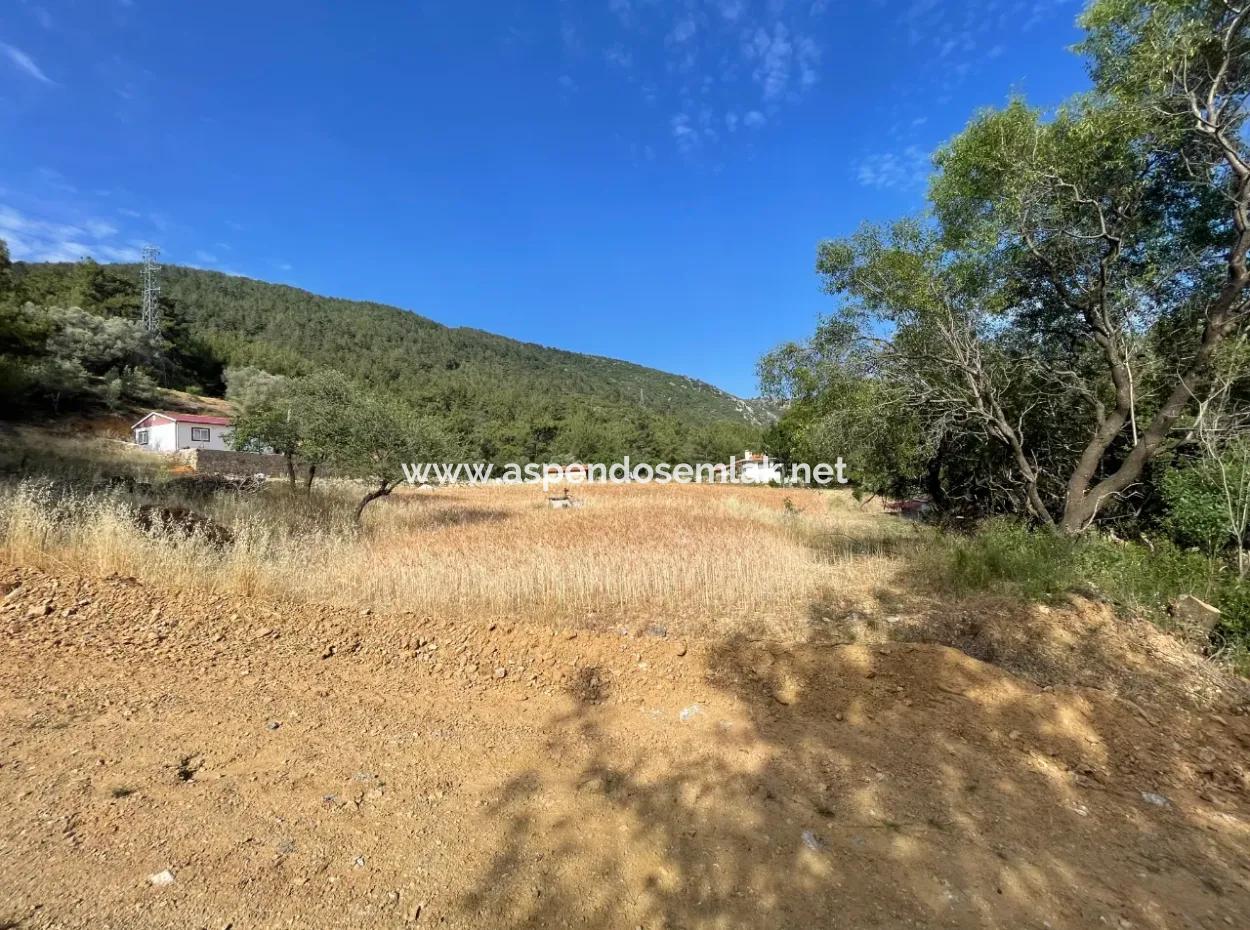 Land For Sale In Ula Armutchuk With 501M2 Zoning