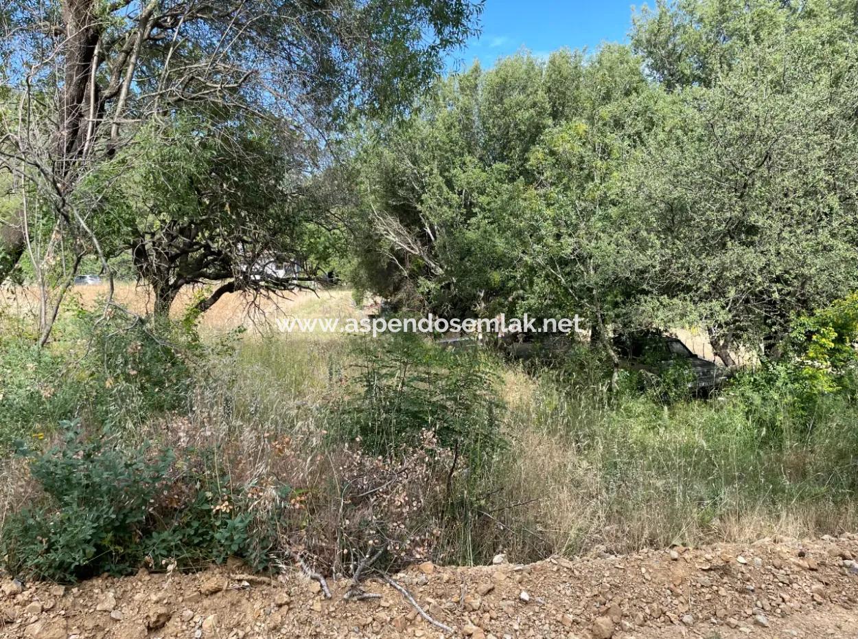 Land For Sale In Ula Armutchuk With 501M2 Zoning