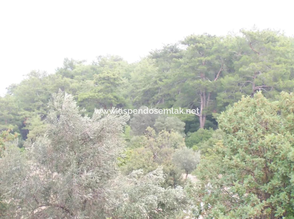 House For Sale In Sarsalada Sea View 4274M2 Plot