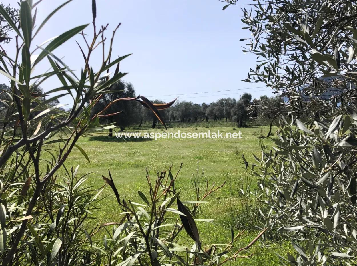 3250M2 Land For Sale In Ekincik With A View Near The Sea