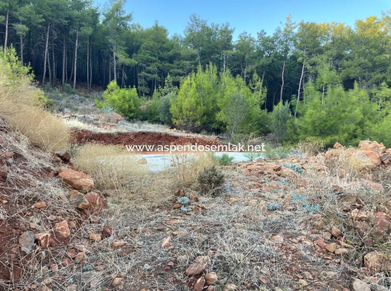Land For Sale In Ekincik With Sea View 420M2 Zoned