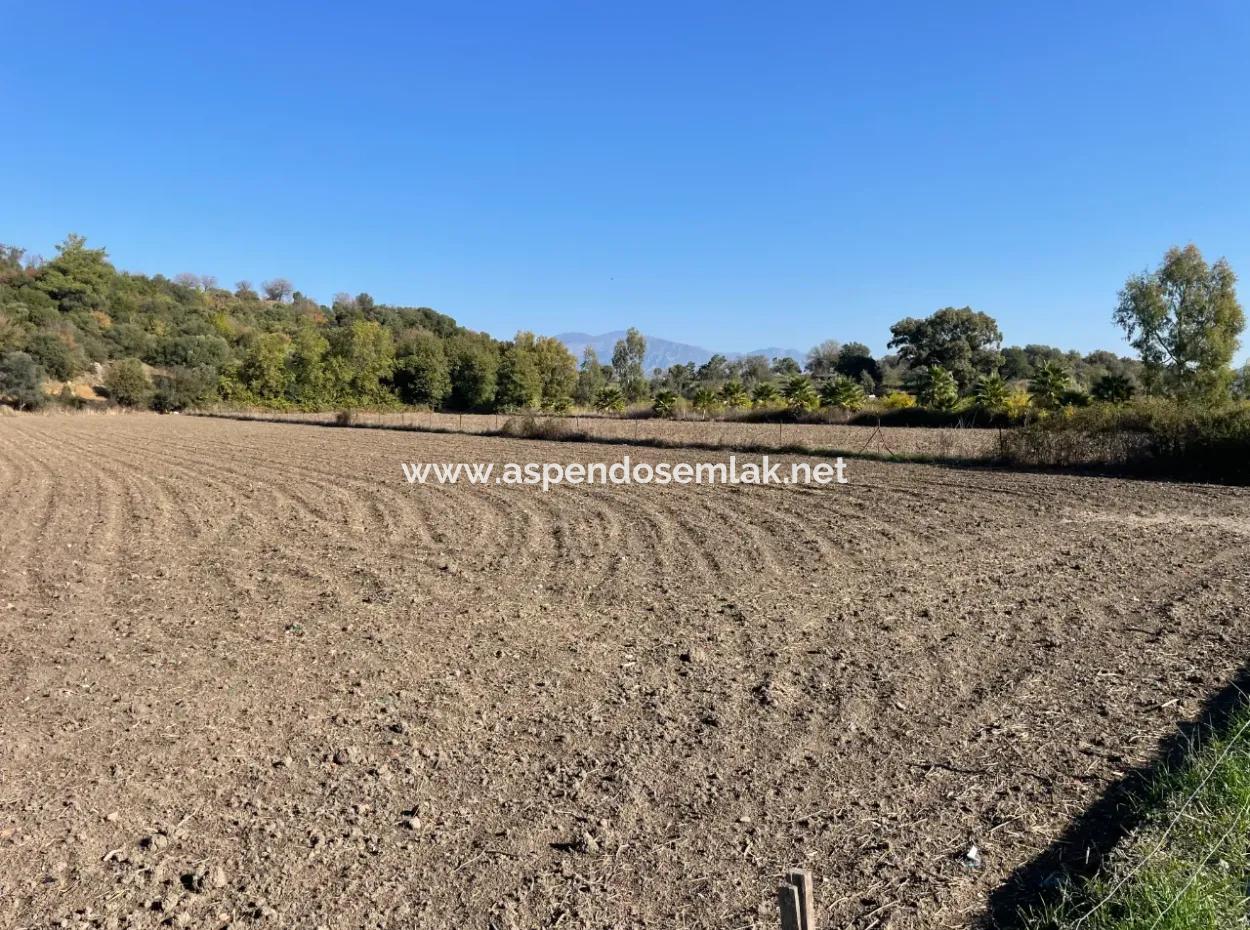 6254M2 Field For Sale Near Dalyan In Eskiköy
