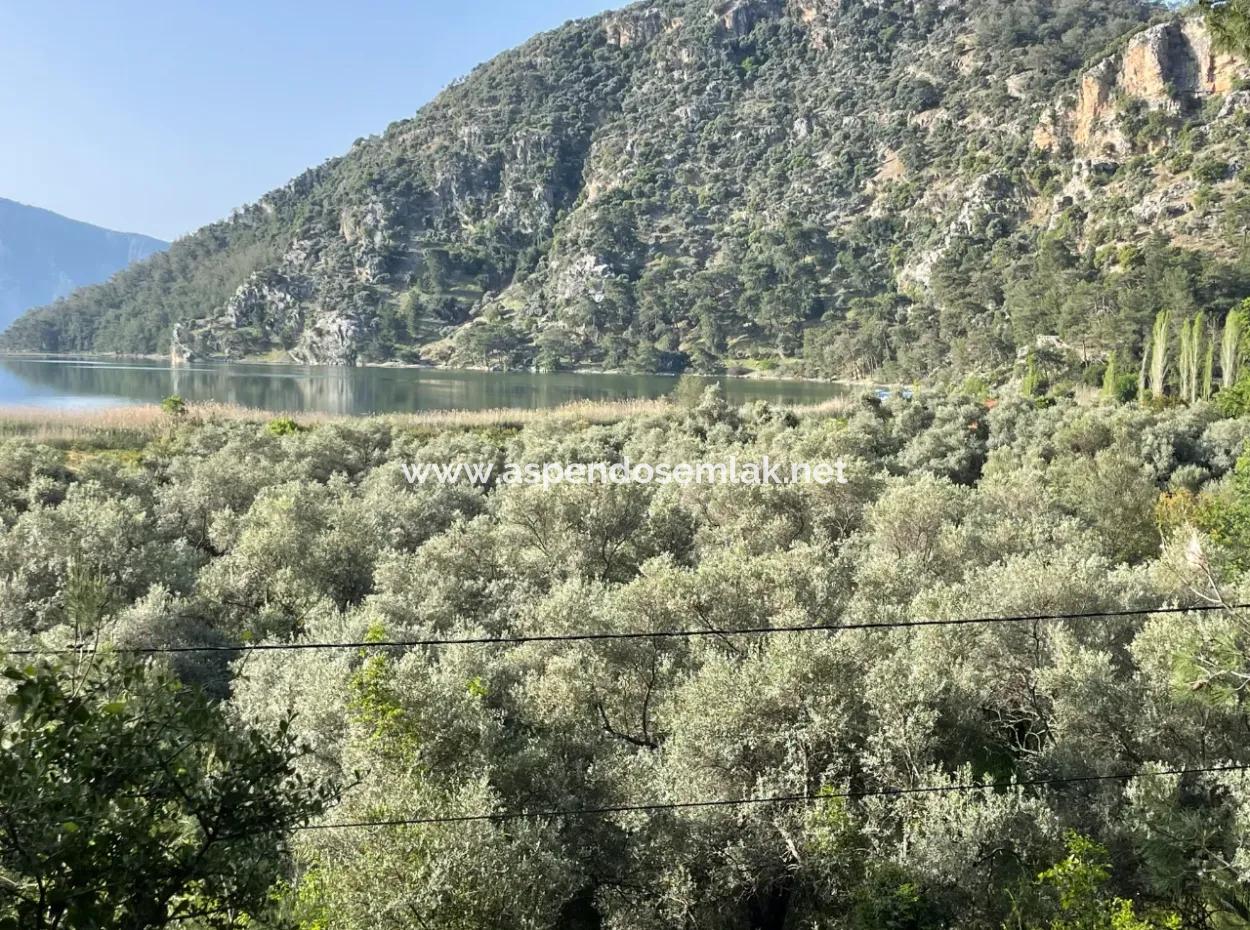 1,136M2 Field Plot For Sale With Çandır Lake View