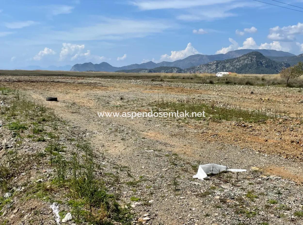 Dalyan Iztuzu Beach Road Zero 19,600M2 Field Land For Sale