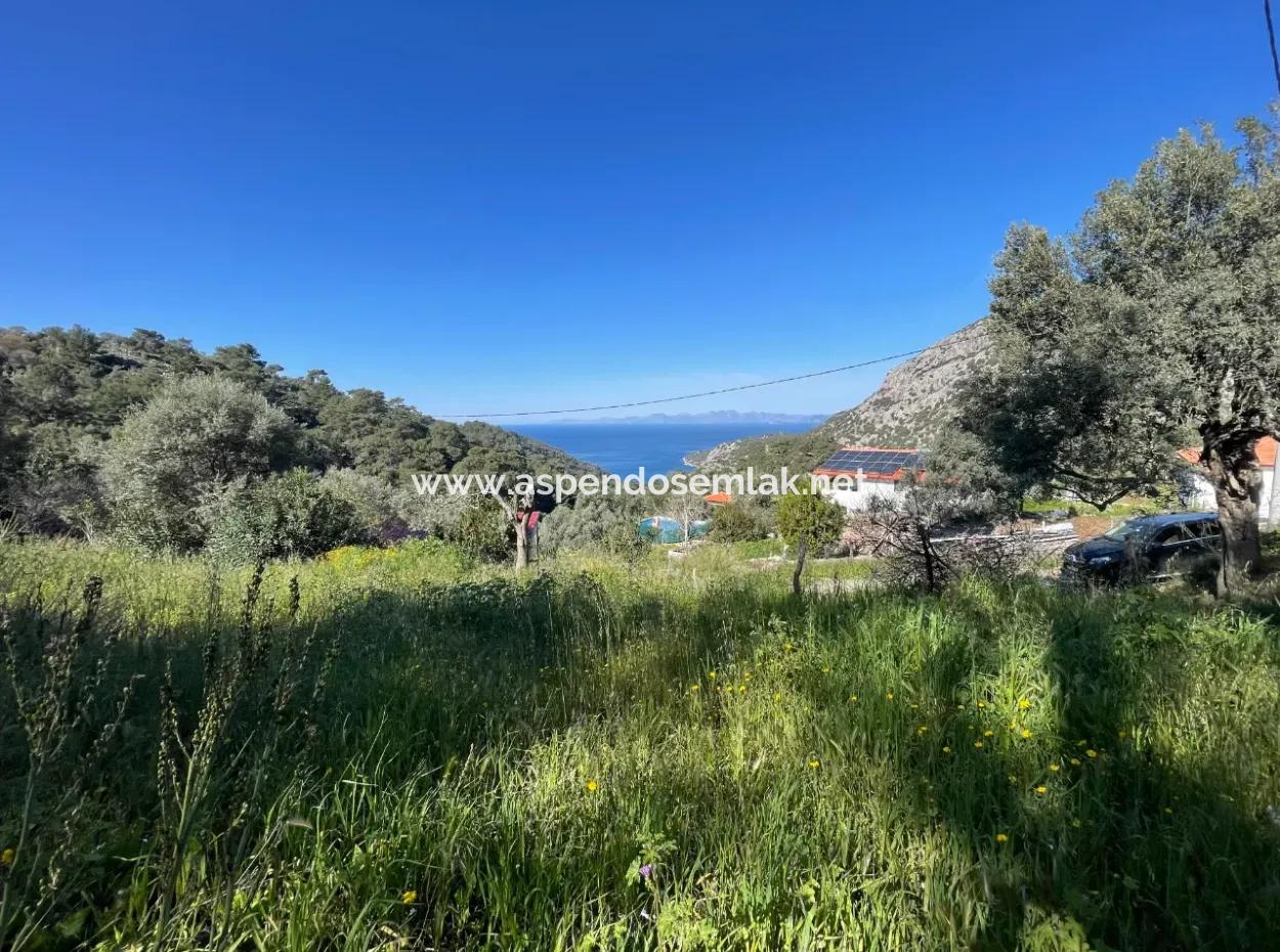 Village House For Sale In 4,400M2 Land With Full Sea View In Gökbel