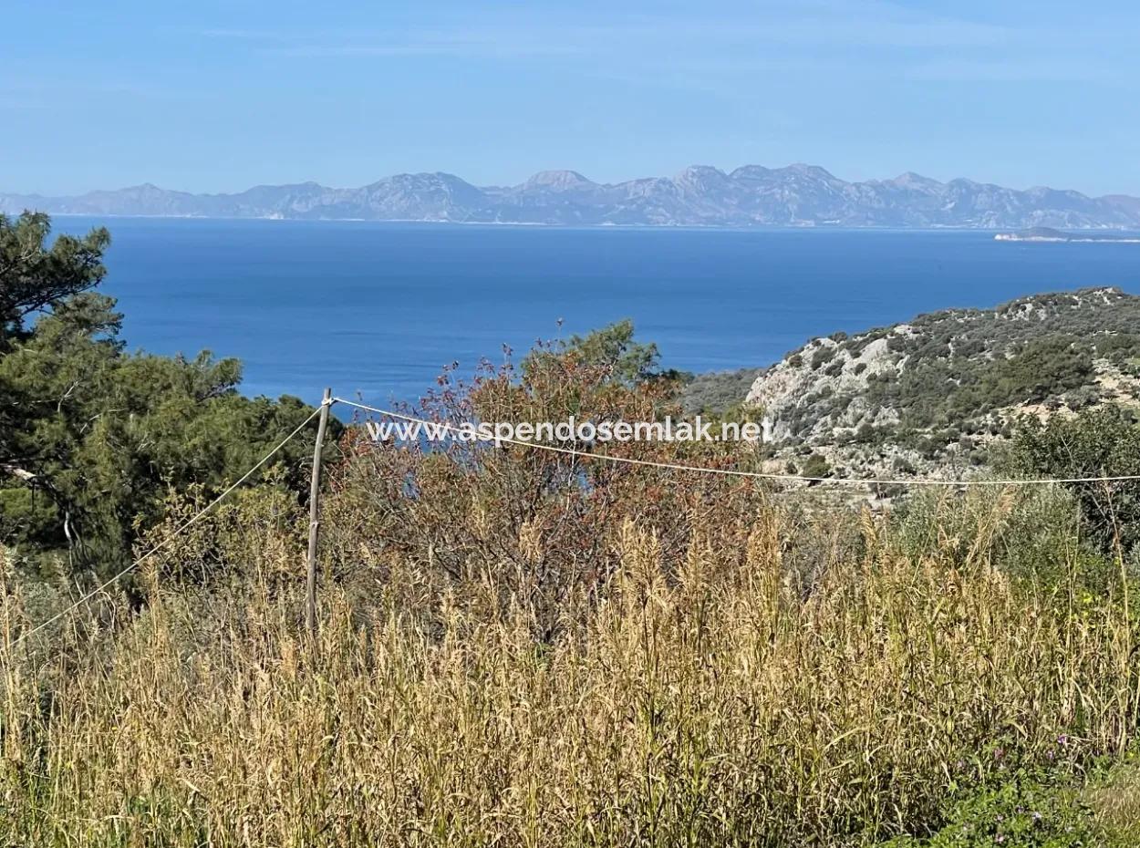 Village House For Sale In 4,400M2 Land With Full Sea View In Gökbel