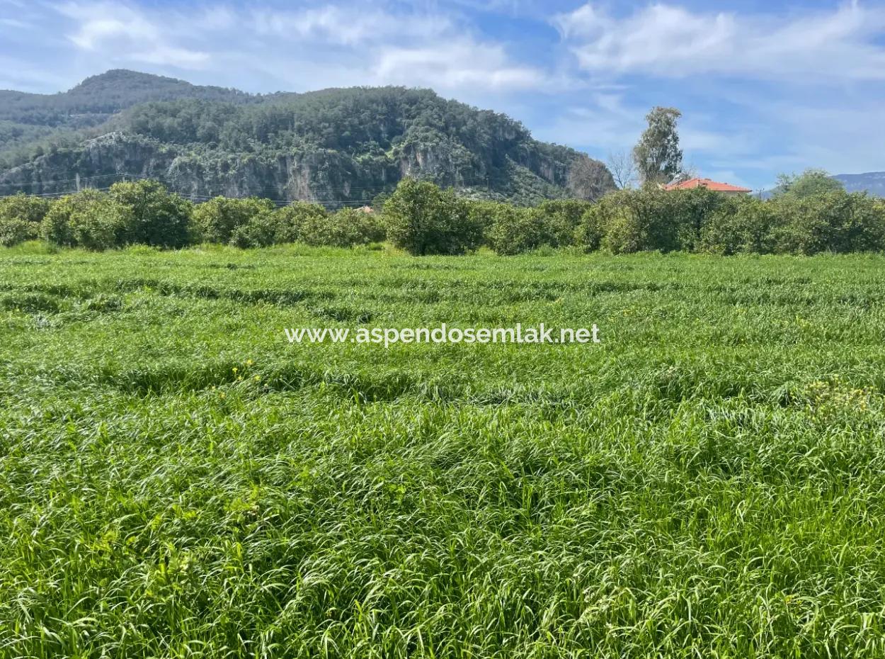 736M2 Land For Sale In Okçular