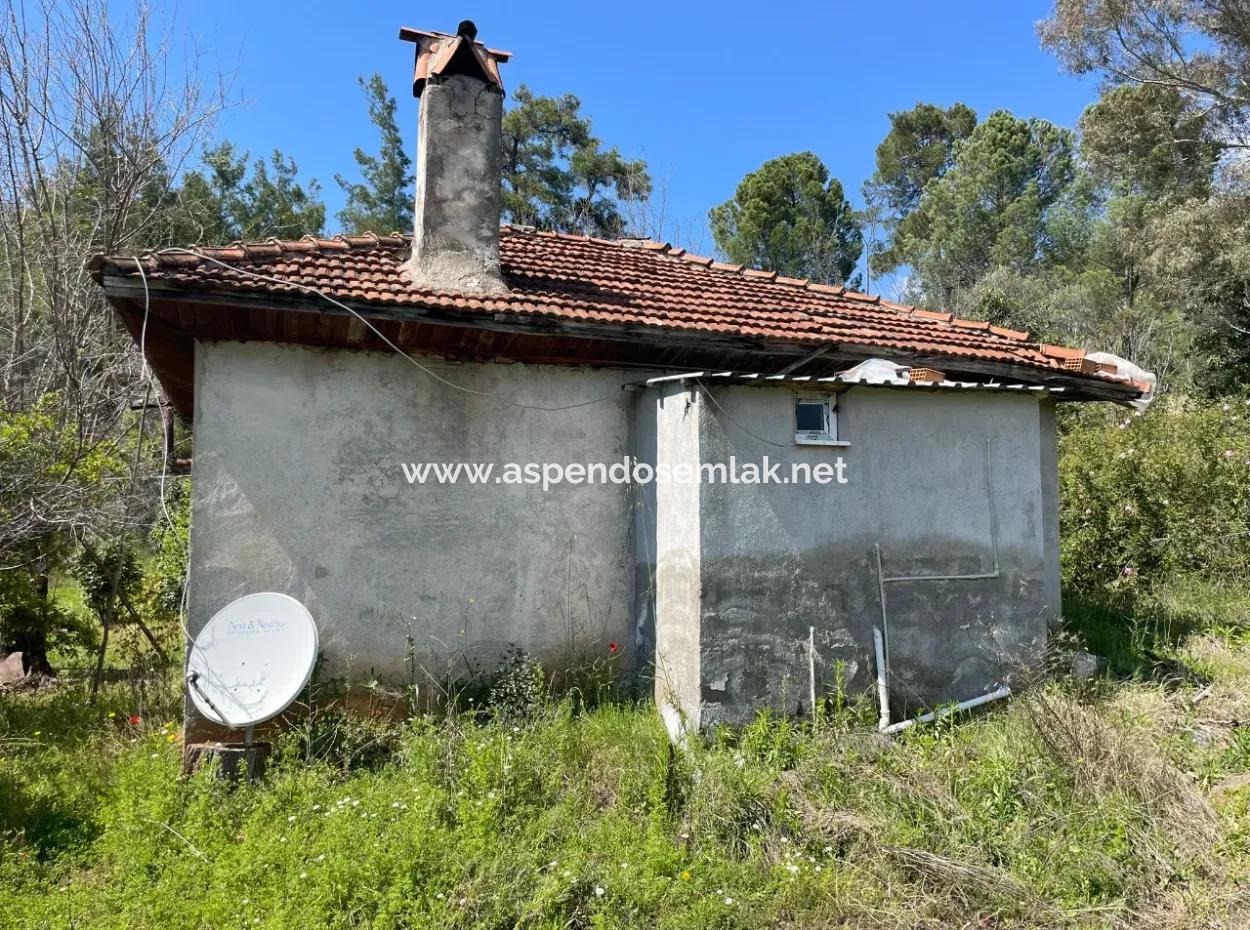 Village House For Sale In 5650M2 Field In Zeytinalann