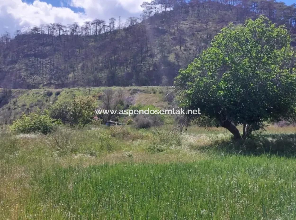 Marmaris Turgut Investment Land For Sale 29600M2 For Sale