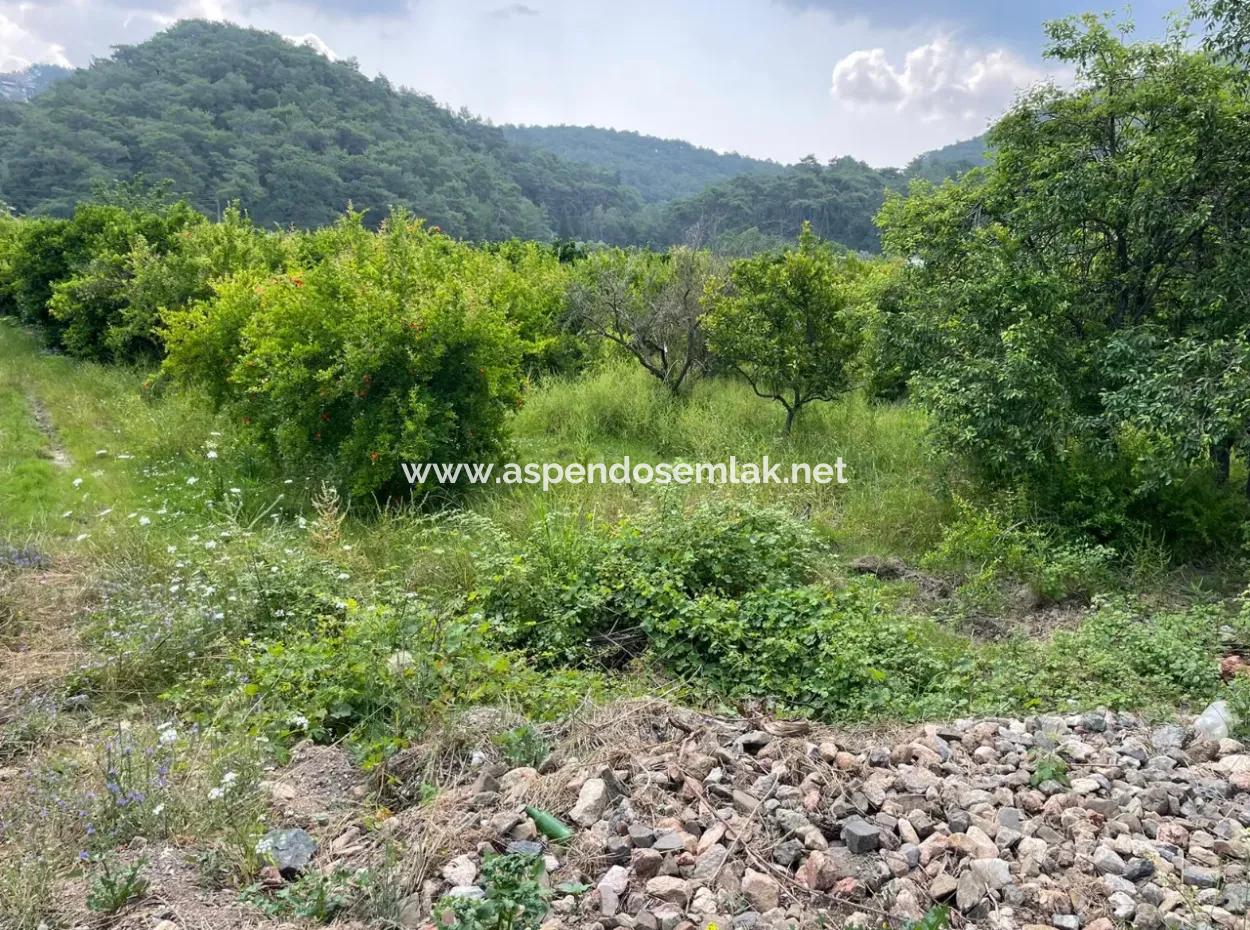 7800M2 Land For Sale At The Beginning Of Iztuzu Beach Road In Gökbel