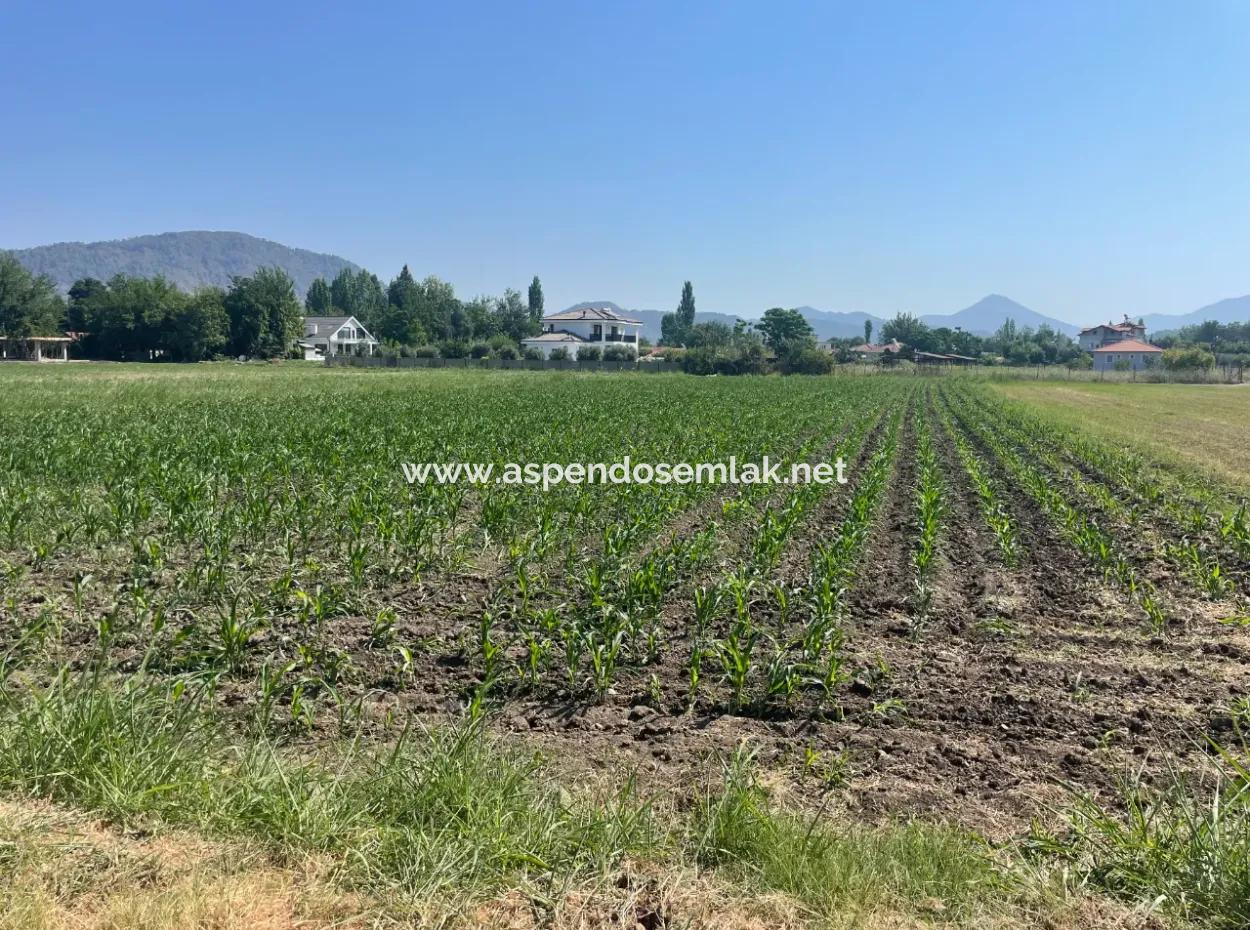 Land For Sale Of 2715M2 In The Built-Up Area Of The Village In Okçular