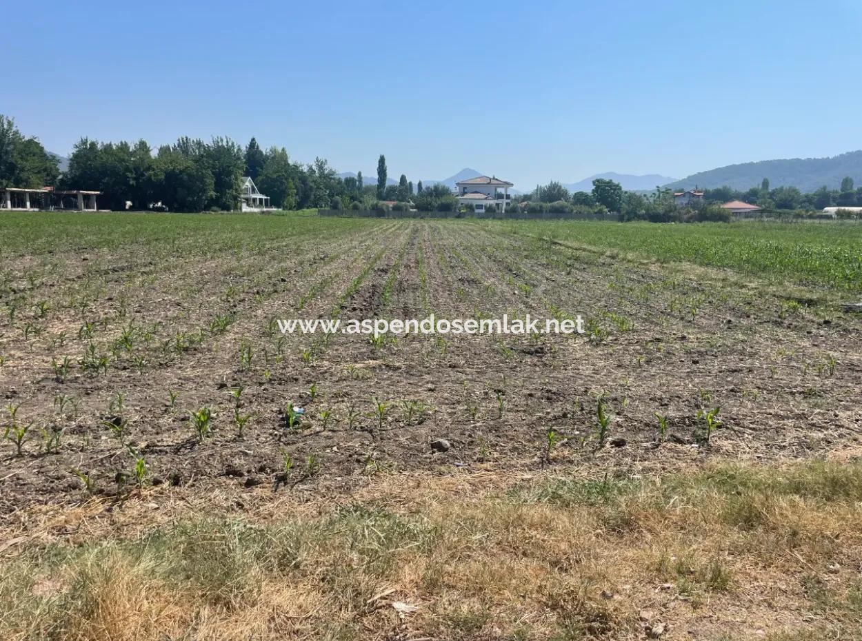 Land For Sale Of 2715M2 In The Built-Up Area Of The Village In Okçular
